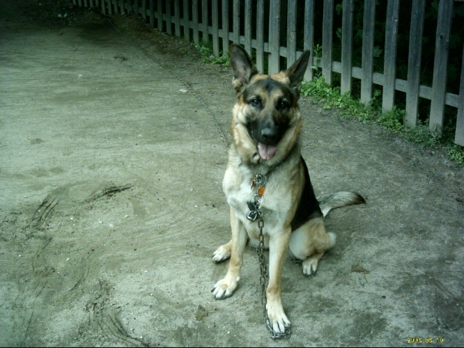 MAJ Jacklyn Jenzer
