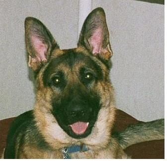 MAJ Jacklyn Jenzer