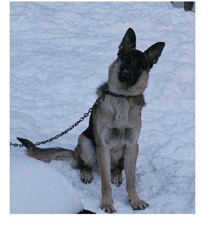 MAJ Jacklyn Jenzer