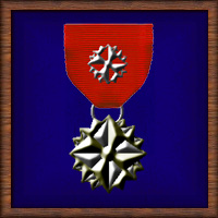 STC Medal of Honor 