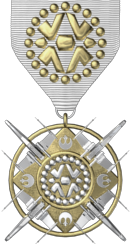 Rebel Squadrons 20th Anniversary Medal