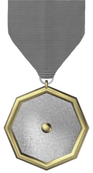 1-Year Service Medal
