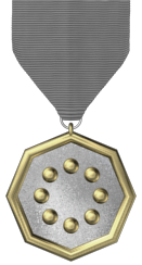 8-Year Service Medal