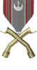 Master Cadet with Honors (Simming)