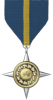 Sim Marathon Medal