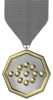 11-Year Service Medal