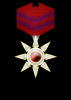 VSG Top Squadron