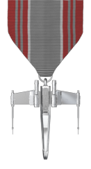 Senior Cadet Award (X-Wing)