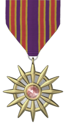 Subterrel Campaign Medal