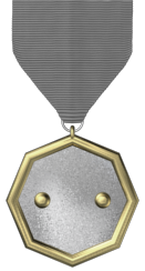 2-Year Service Medal
