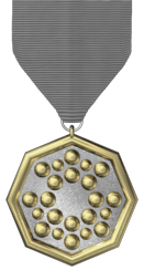22-Year Service Medal