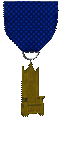Fleet Commander's Medal of Excellence